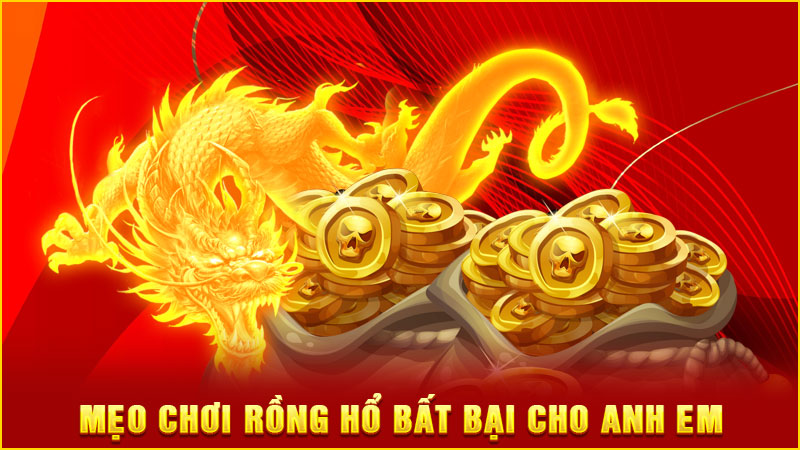 mẹo chơi rồng hổ bất bại cho anh em mẹo chơi rồng hổ bất bại cho anh em