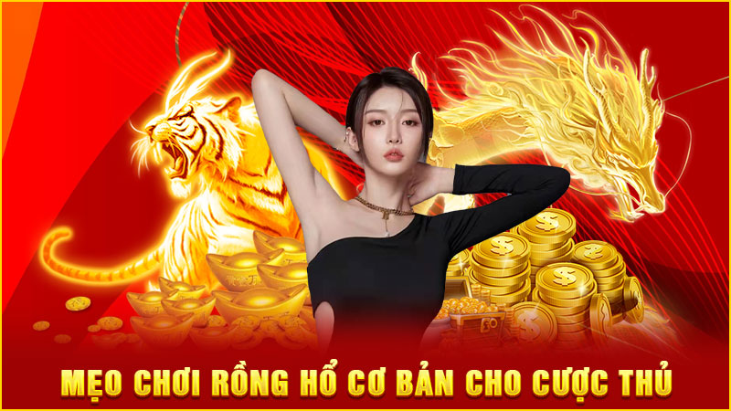 mẹo chơi rồng hổ cơ bản cho cược thủ mẹo chơi rồng hổ cơ bản cho cược thủ