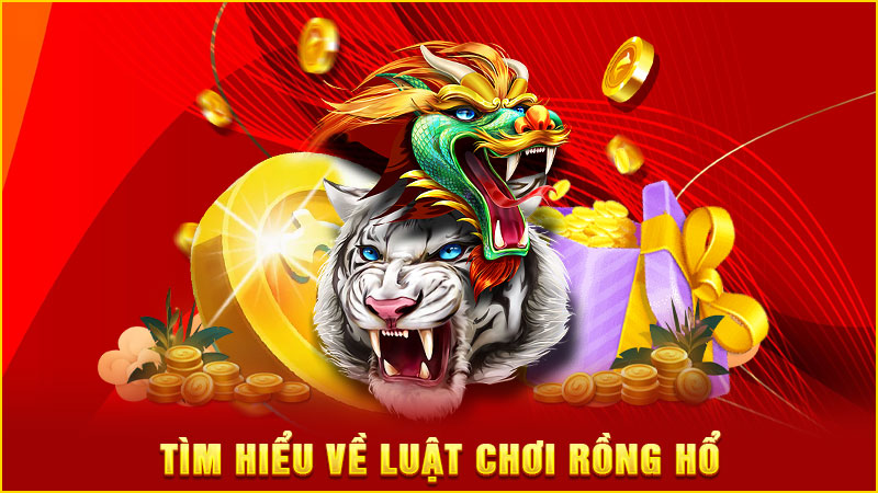tìm hiểu về luật chơi rồng hổ tìm hiểu về luật chơi rồng hổ